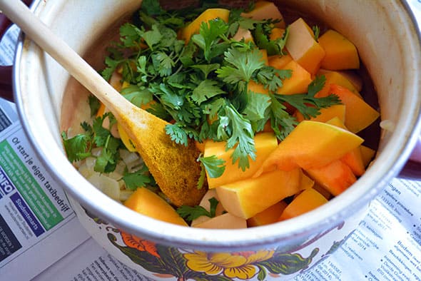 pumpkin soup diet